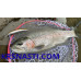 Воблер Daiwa Steez Double Clutch 95SP длина 95мм вес 8,6гр